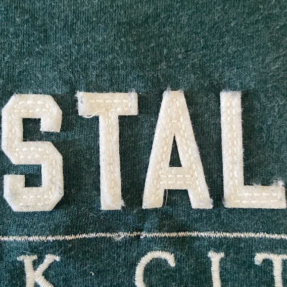 Aeropostale Short Sleeve Round Neck Collar Dark Teal New York City Tee - Picture 6 of 10